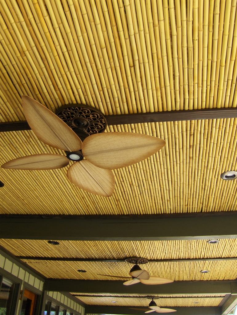 60 Desain Plafon  Bambu  Sederhana Berkonsep Modern 