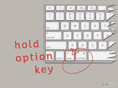 So that serves the Option key on Mac?