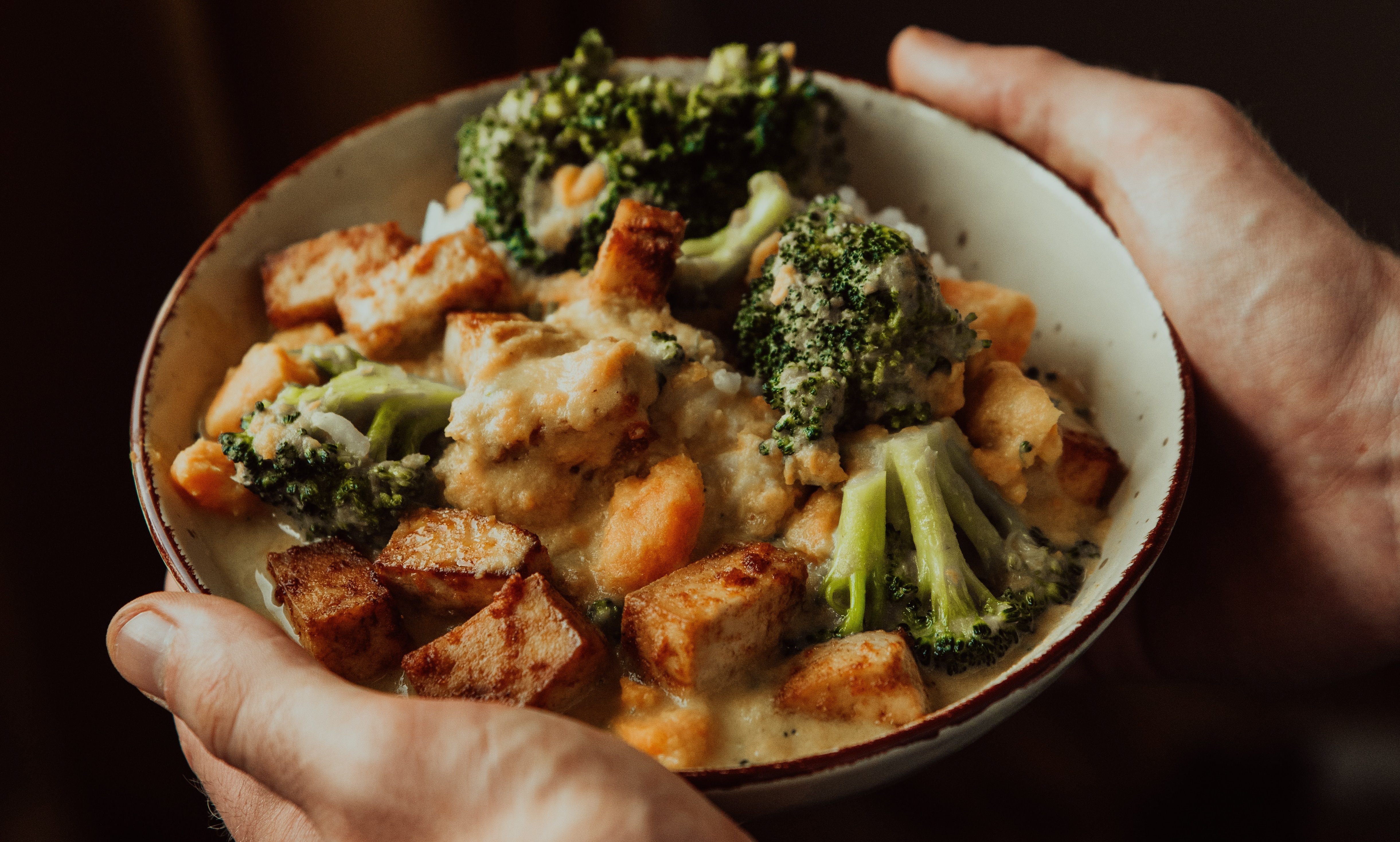 Tofu and Tempeh