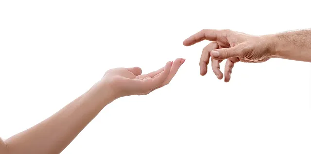 Adult hands