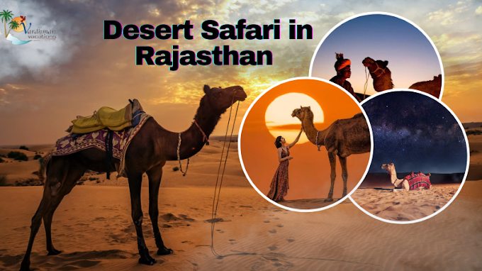 Top 5 Desert Safari Destinations in Rajasthan ( 2024)