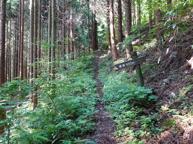 鳥取県西伯郡南部町東上の鎌倉山に登ります