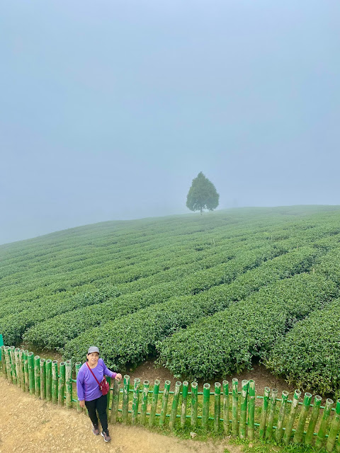 雲嶺之丘