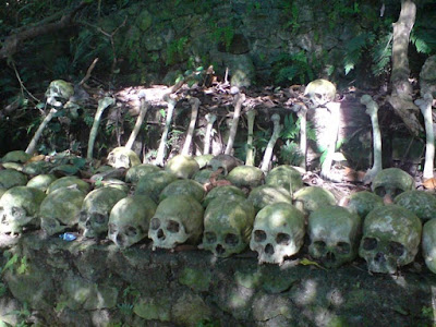 Kuburan Trunyan,  Pemakaman Menyeramkan di Pulau Bali yang Dinaungi Pohon Keramat
