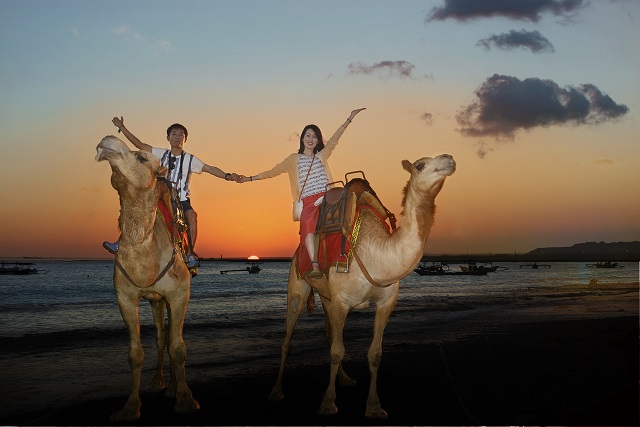Sunset Camel Riding In Bali