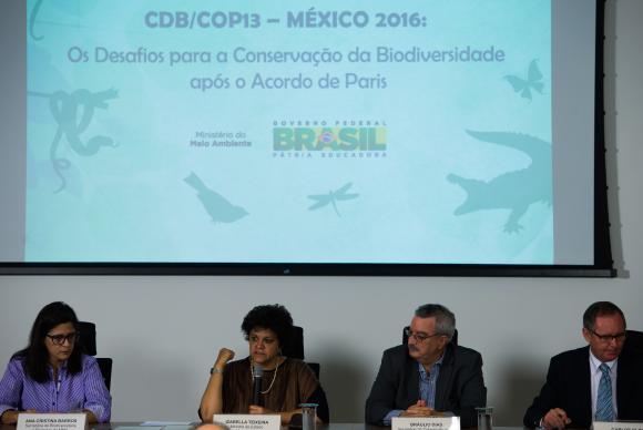 Brasil lista espécies da fauna e cumpre meta da convenção sobre biodiversidade