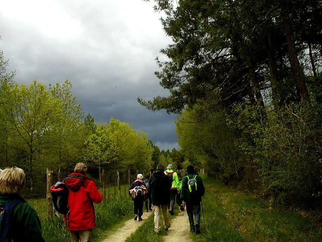 Photograph Susan Walter. Tour the Loire Valley with a classic car and a private guide.