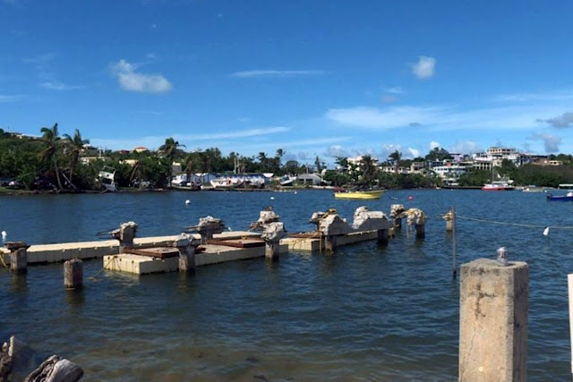 Puertorriqueños piden auxilio a los turistas: “Estamos tratando de sobrevivir”