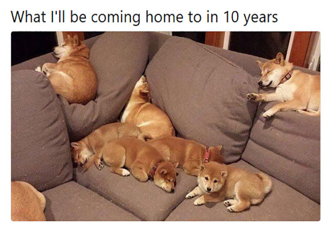 33 Randomly Choose Funny Memes Pictures Of The Day