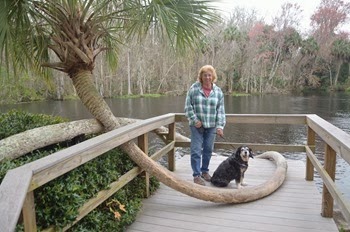 Micanopy_027