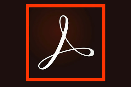 Adobe Acrobat Pro DC 2022 v22.003.20314