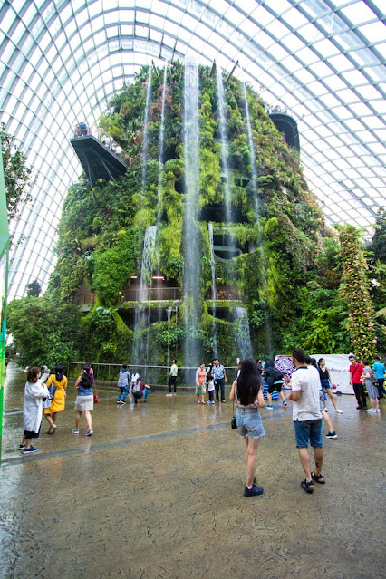 Cloud forest-Gardens by the bay-Singapore