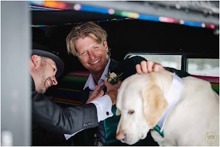 groom petting his dog while getting boutonniere put on