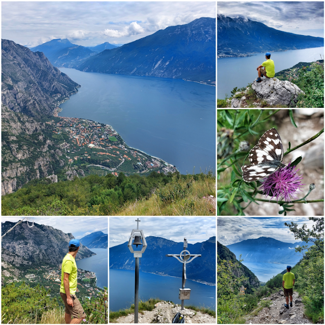 sentiero delle farfalle limone sul garda