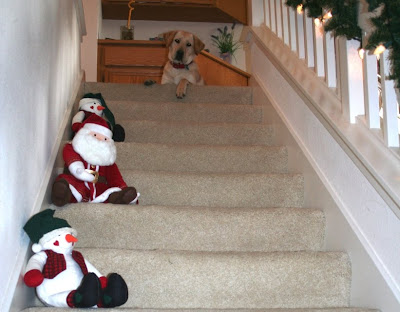 cabana sitting at the top of our stairs with her paw dangling over; santa and snowman stuffed dolls on the side of every other stair