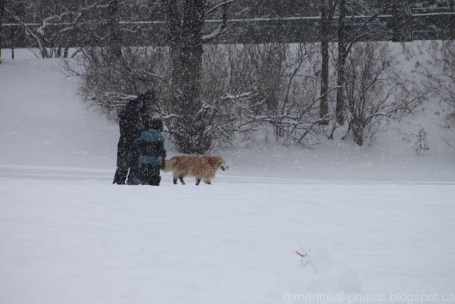 winter in Montreal at park Maisonneuve