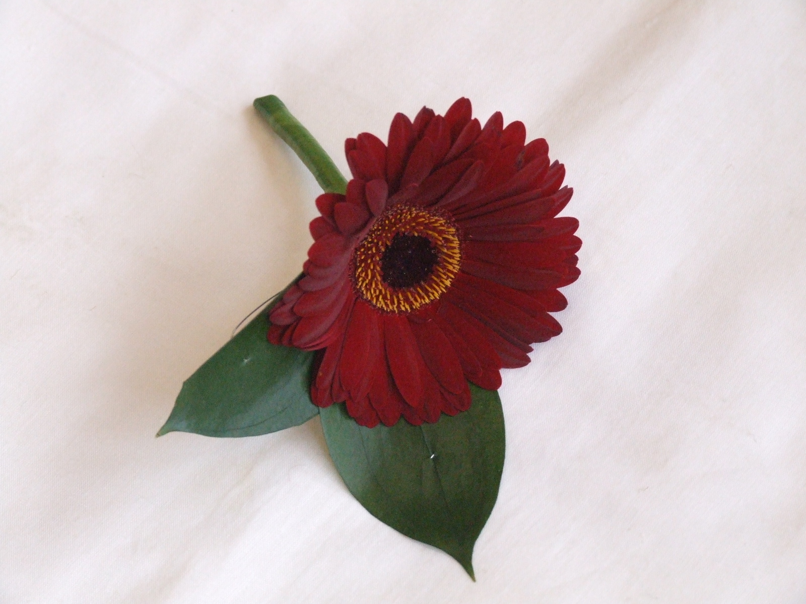 gerbera wedding flowers