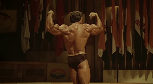 Arnold Schwarzenegger Muscle Mass Principles
