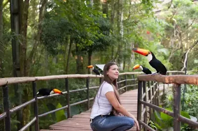 Traslados al parque de las avez en foz do iguazu, brasil desde Puerto Iguazu