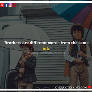 Best Funny Brother Quotes From a Sister | Best Quotes About Brothers To Say | Best Brother Quotes And Sibling Sayings | Funny Quotes On Brother And Sister