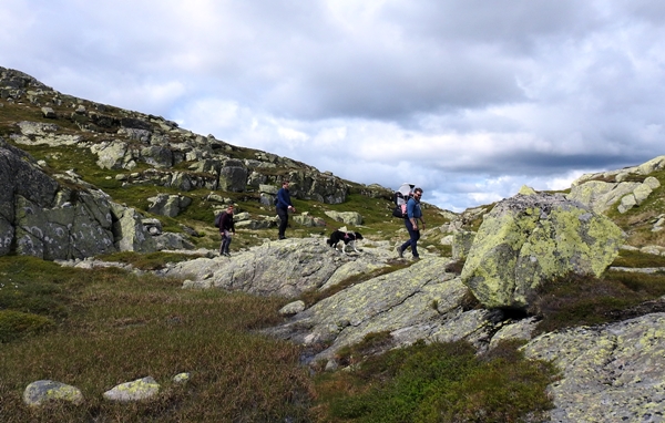 sørbølfjellet skardsvarden hallingdal