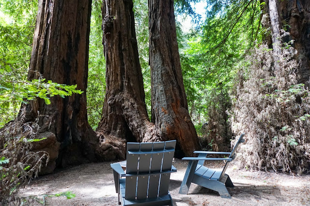 Glen Oaks- Big Sur- California