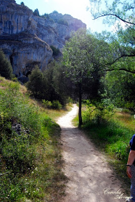 seguimos paseando entre paredes de roca caliza y pinares.