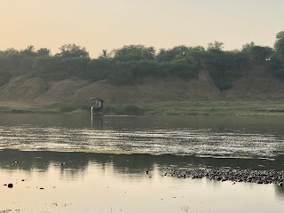 shivling in river narmada barkal