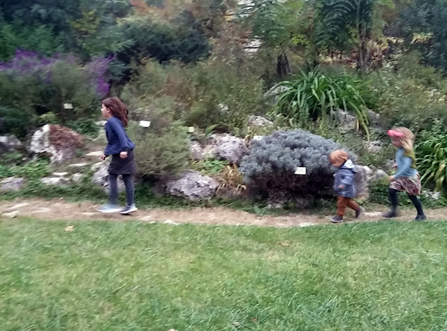 Le jardin des Plantes de Montpellier