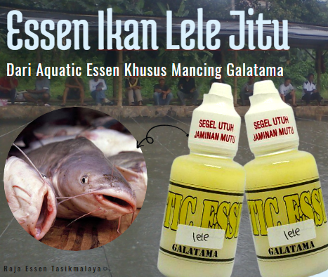 Essen Jitu Ikan Lele Galatama 100% Anti Zonk!!