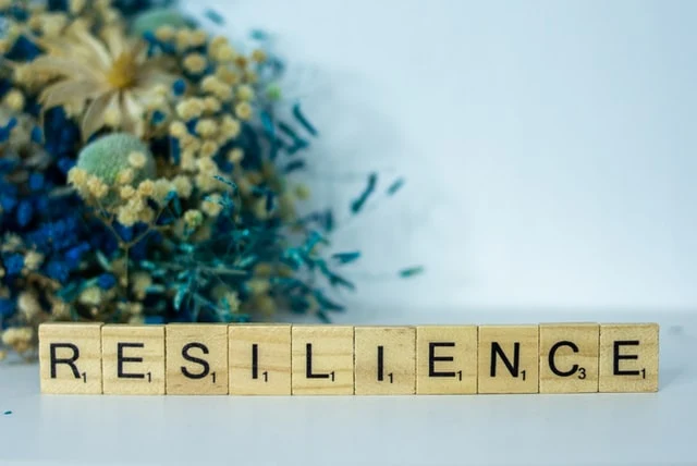 Human Resilience as One of the Necessary Traits in Life
