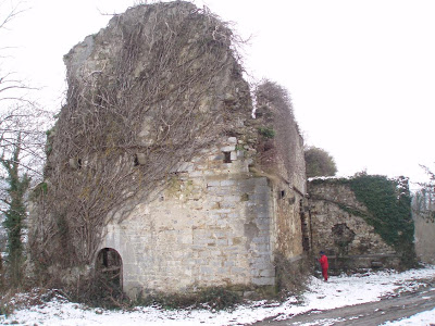 Ruinas de la iglesia de Oviñana