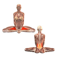 http://easy-healthcare.blogspot.com/2016/01/bound-angle-pose-baddha-konasana.html