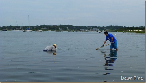 cape cod_025