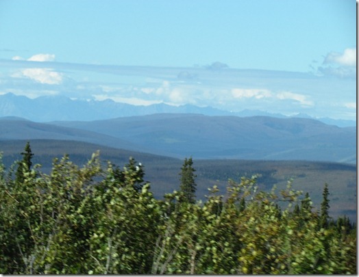 Tok, AK 019 (800x600)