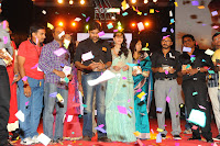 Panjaa Audio Release Function