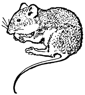 Clip art mouse