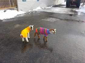 Funny animals of the week - 7 March 2014 (40 pics), two baby goats wear sweaters