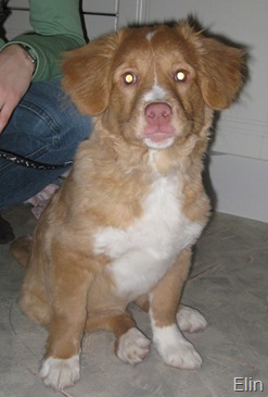 2010 024