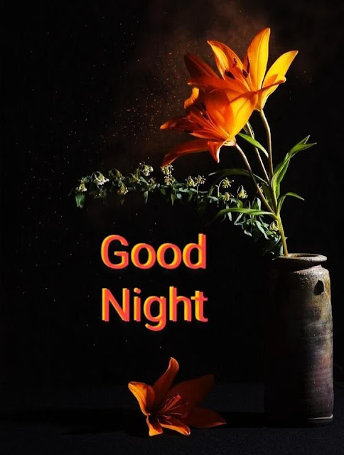 Good Night Images With Flower