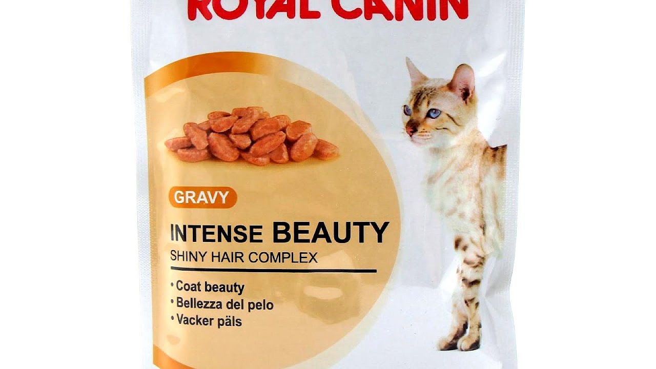 Royal Canin For Cats