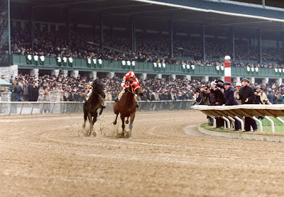 Seabiscuit 2003 Image 1