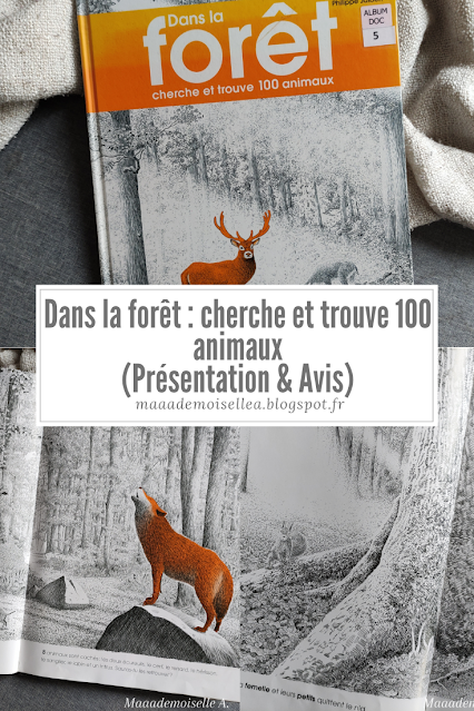 Dans la forêt : cherche et trouve 100 animaux (Présentation & Avis)