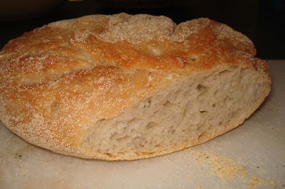 First sourdough loaf