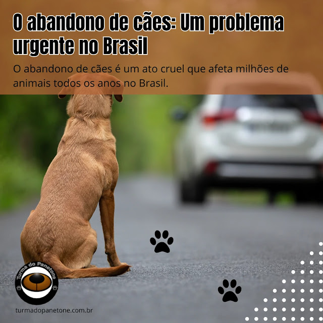 O abandono de cães: Um problema urgente no Brasil