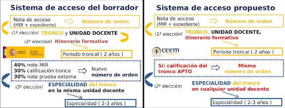 propuesta del CEEM para la troncalidad MIR