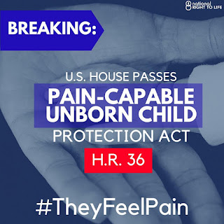 U.S. House Passes Pain-Capable Unborn Protection Act H.R. 36