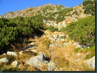 DSCN3142