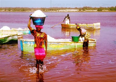 danau merah  muda