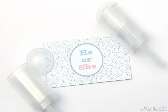 DIY Gender Reveal Confetti Poppers using Silhouette Studio